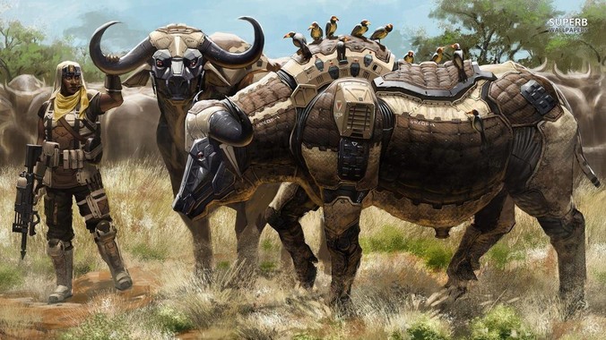 如何判断鱼缸中的硝化系统是否已经成功建立？